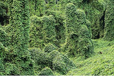 我自己就是顶流！ 制作人谈《马里奥赛车：世界》无需联动其他ip角色